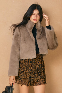 Luxe Faux Fur Cropped Jacket