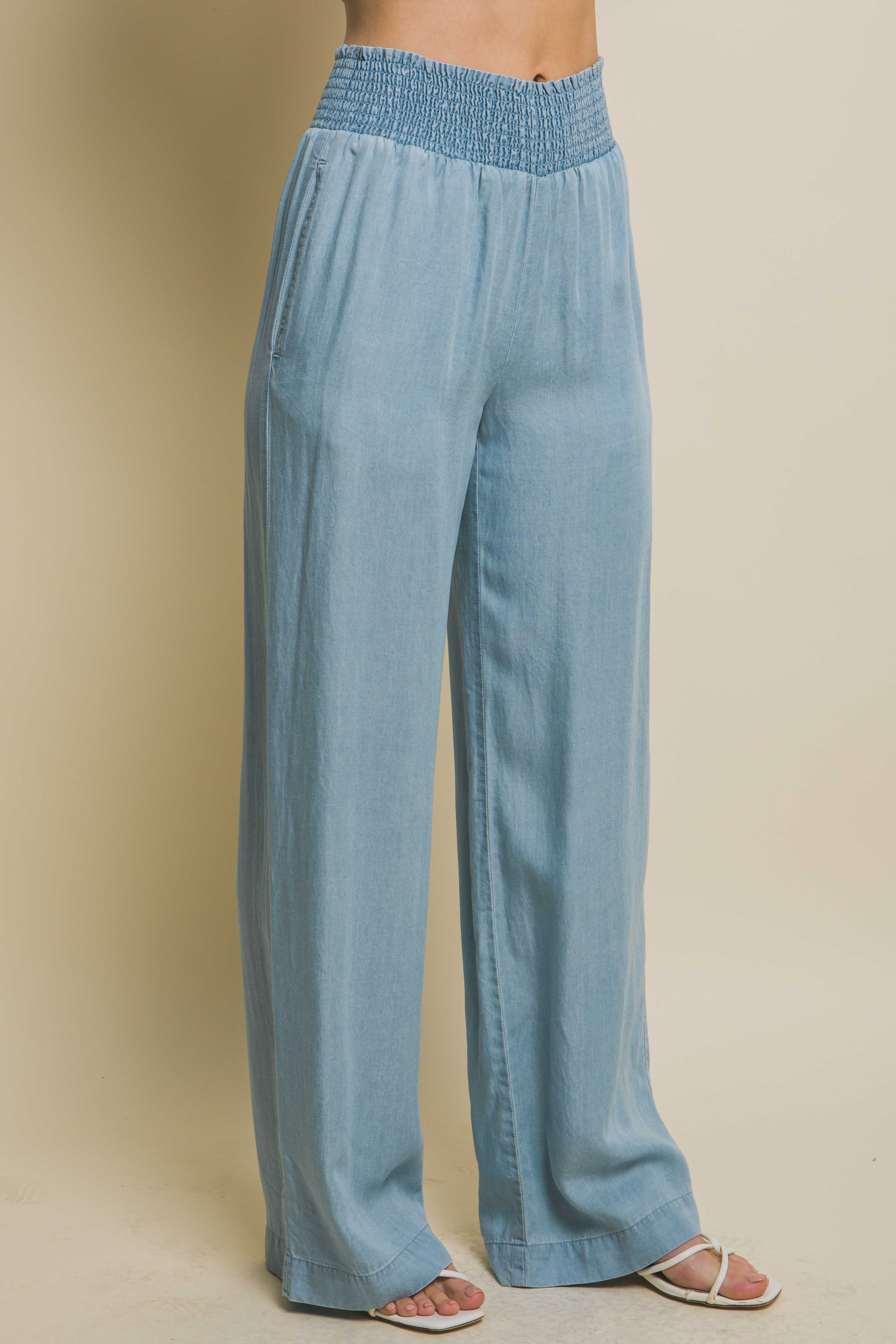 Wide Leg Tencel Pant (in Light Blue