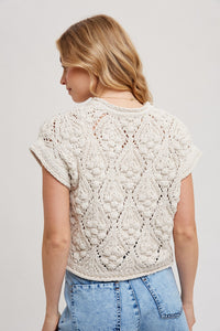 Eileen Pullover Short Sleeve Sweater