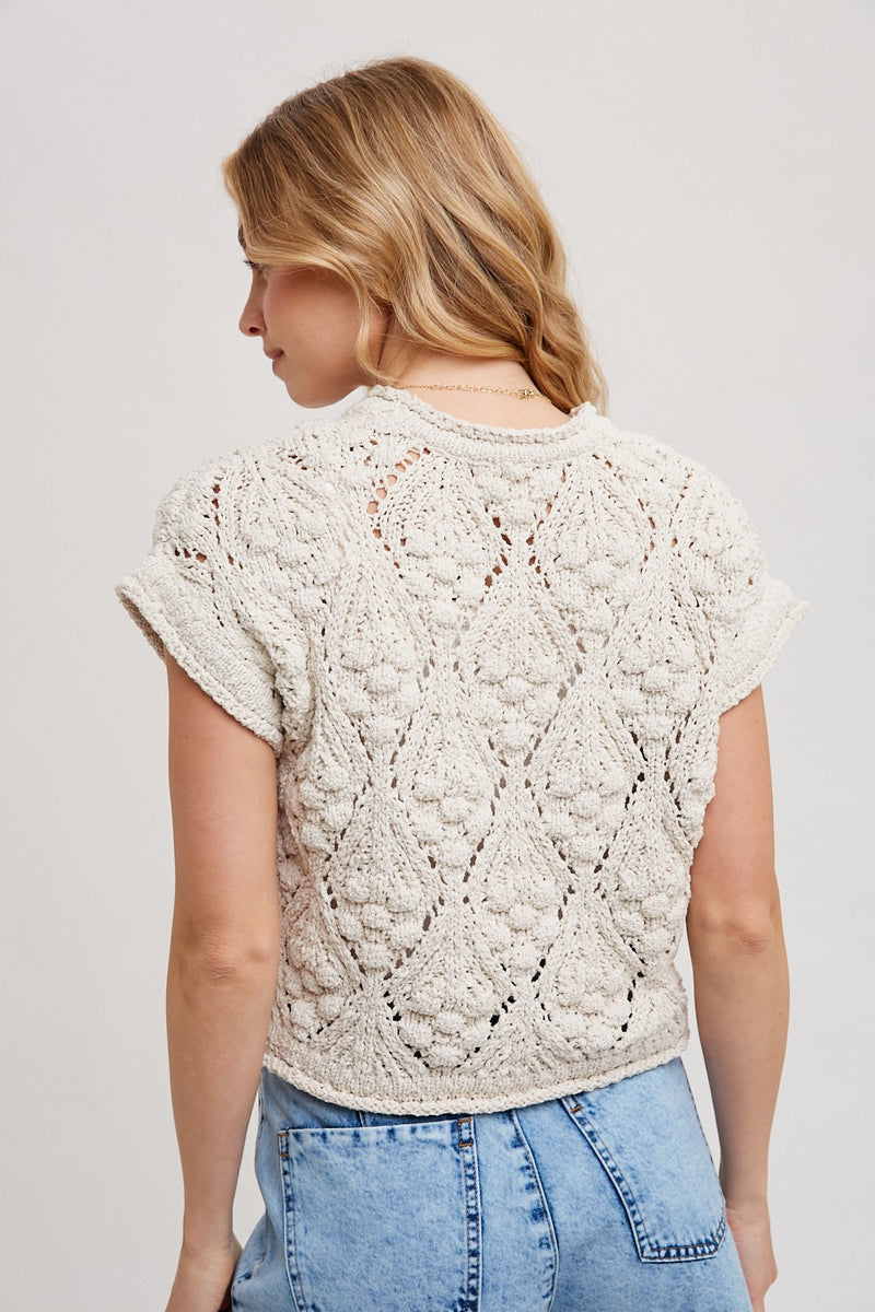 Eileen Pullover Short Sleeve Sweater