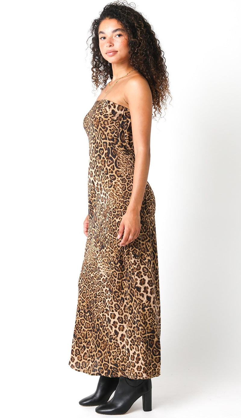 Cleo Animal Print Open Back Maxi Dress