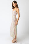 Liliana Blush Sequin Maxi Dress