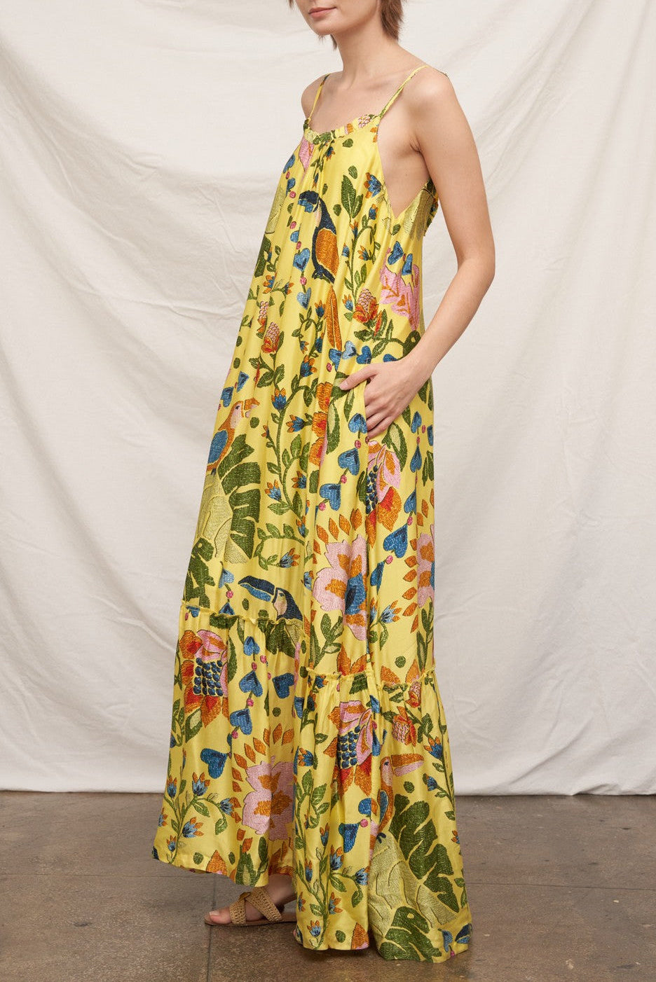 Birds of a Feather Maxi Dress