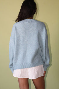 Flying Duck Sweater in Light Blue
