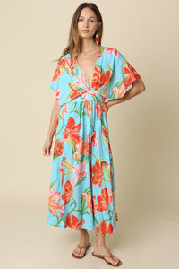 Luisa Deep V Maxi Dress