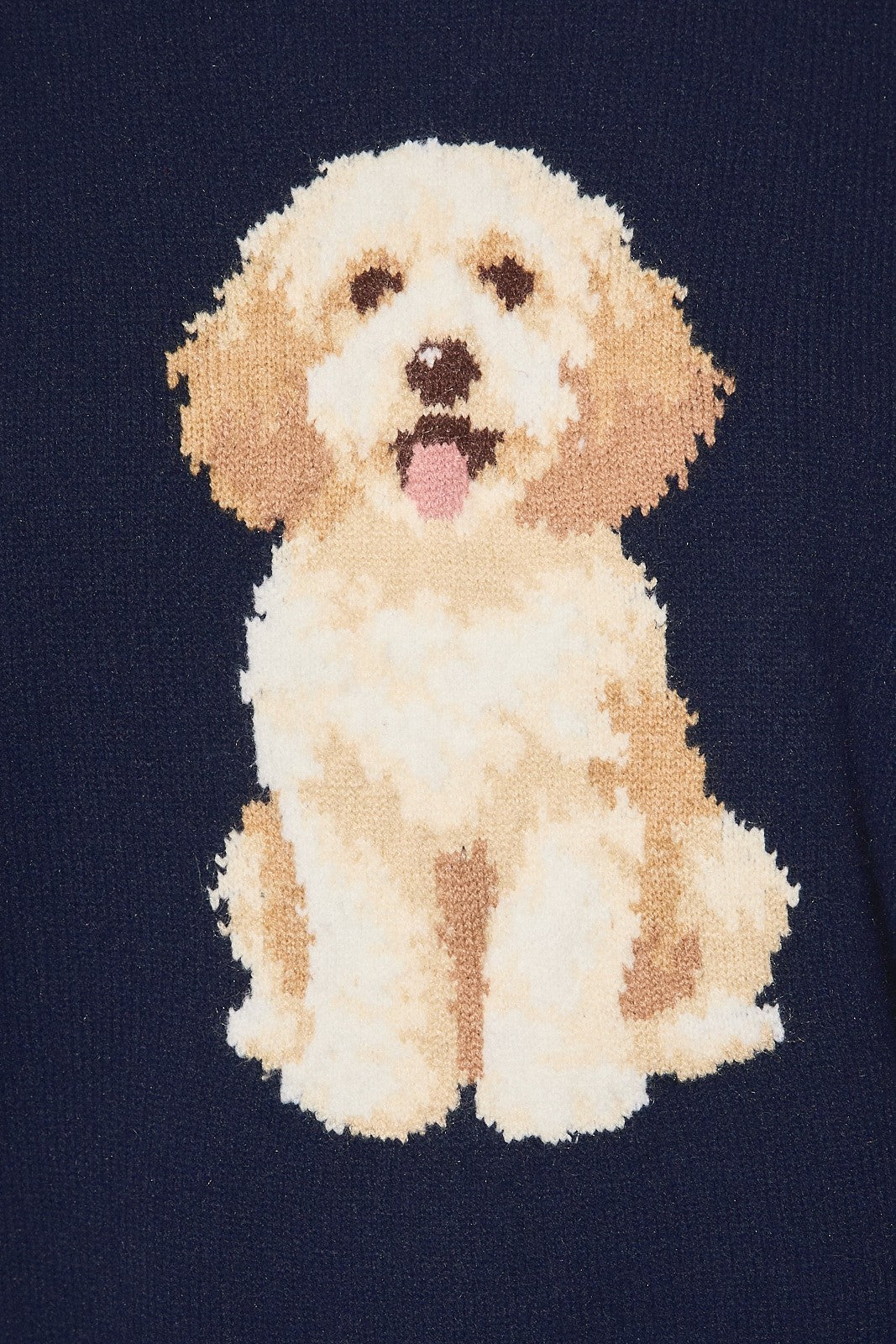 Cockapoo Graphic Oversized Crew Neck Sweater in Navy — back view on model