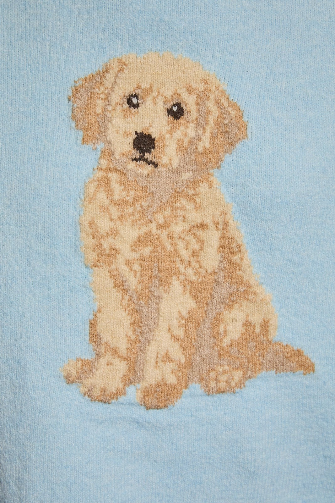 Golden Doodle Graphic Oversized Knit Sweater in Light Blue — back view on model