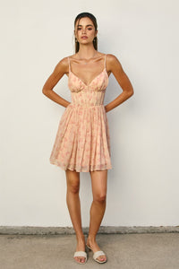 Rosy Days Corset Top Mini Dress
