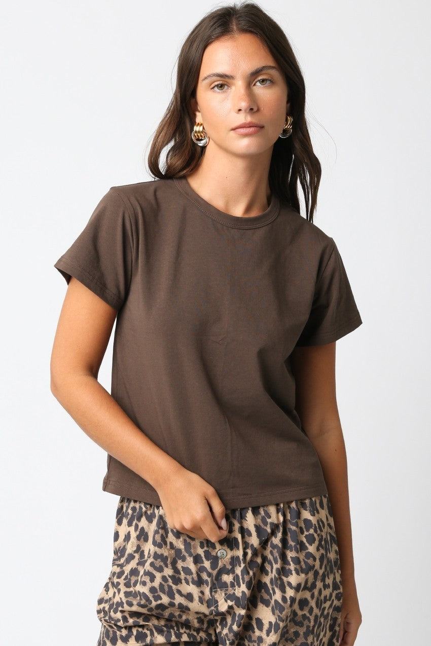 The Classic T Shirt in Brown