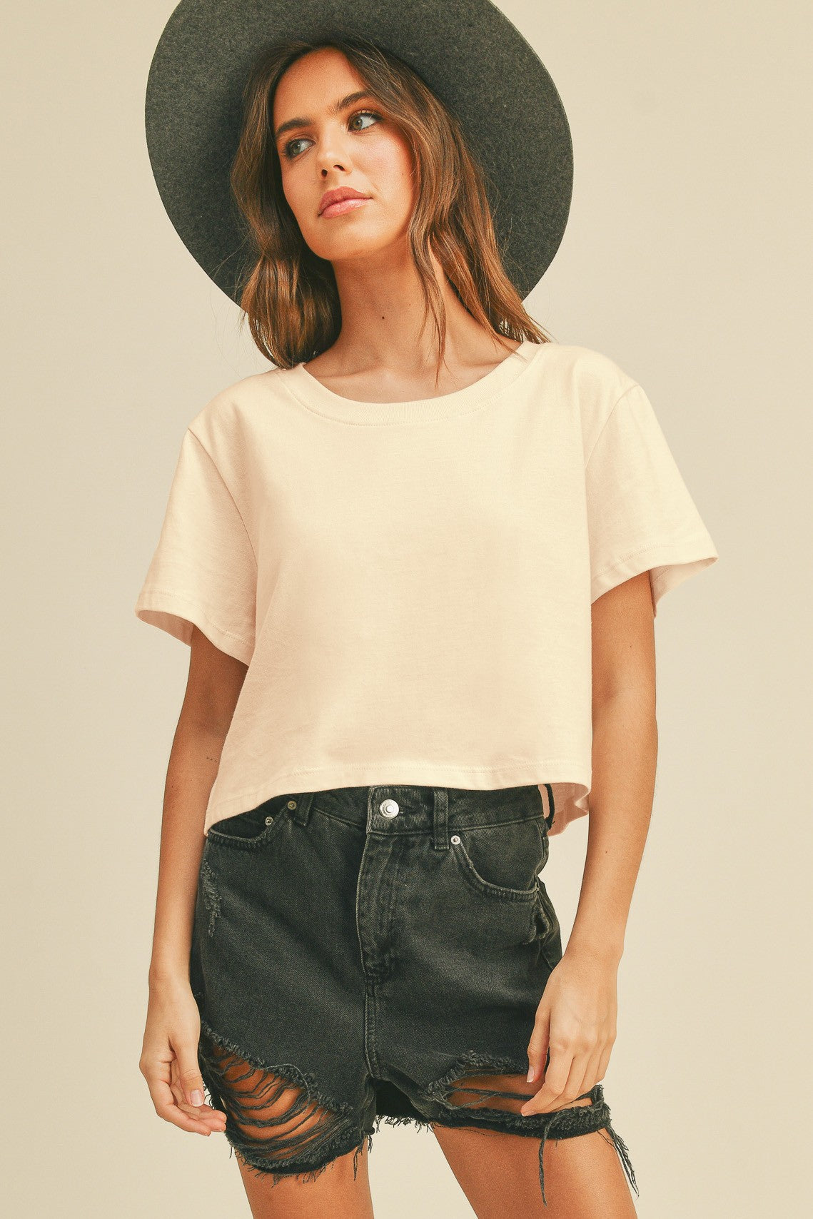 Cropped Basic T Shirt MORE COLORS