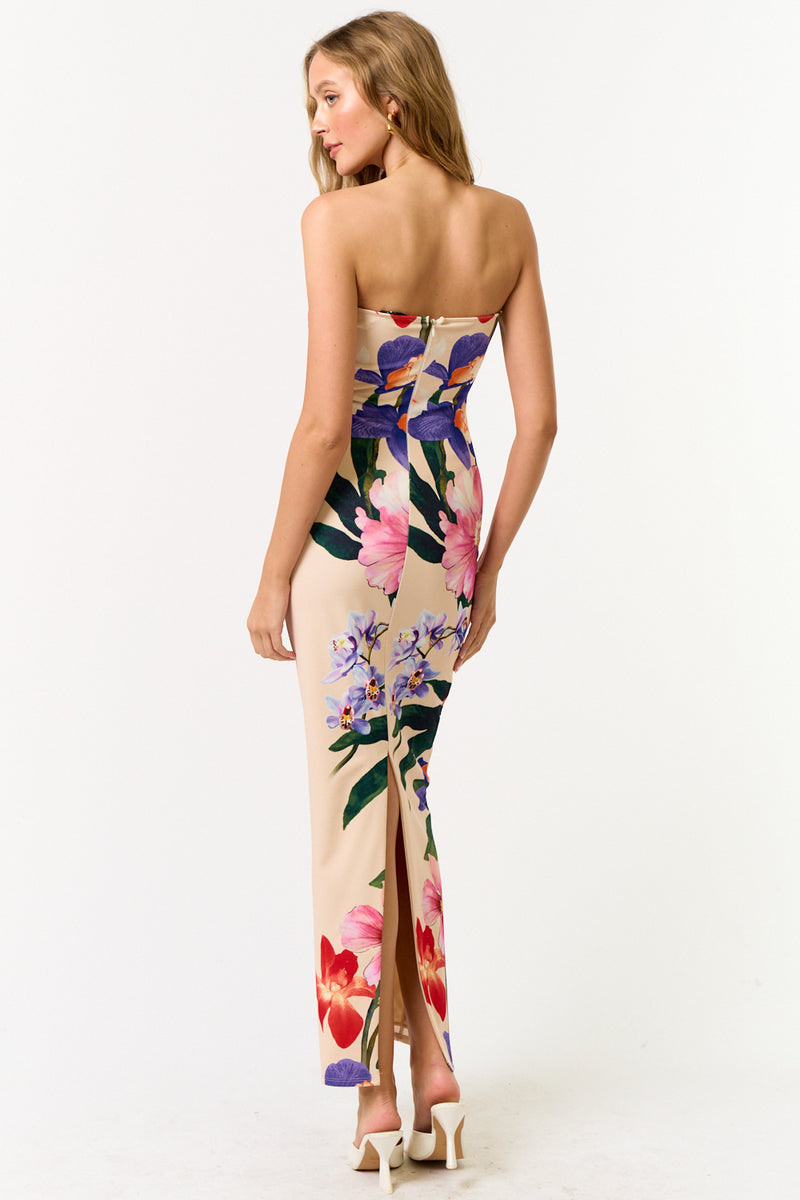 Palm Canyon Floral Maxi Dress