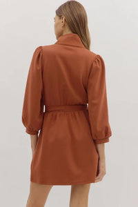 The City Zip Front Jersey Dress in Rust