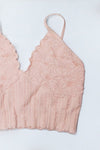 Seamless Lace Textured Bralette MORE COLORS