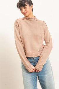 Remy Roll Neck Reversed Seam Sweater in Taupe — front view on model