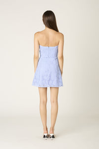 Strapless Lace Mini Dress in Periwinkle