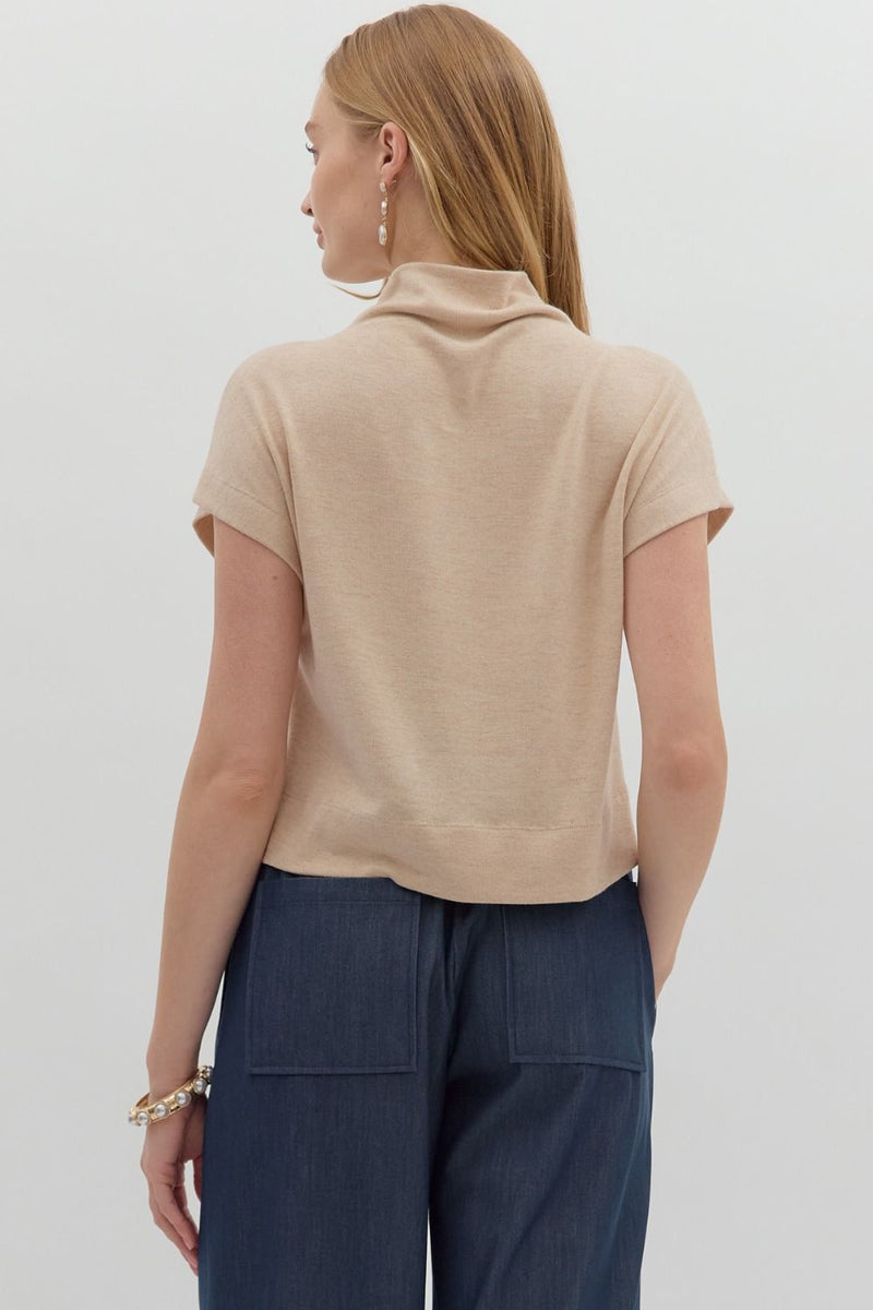 Aubrey Knit Mock Neck Top in Oatmeal