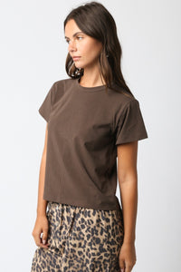 The Classic T Shirt in Brown