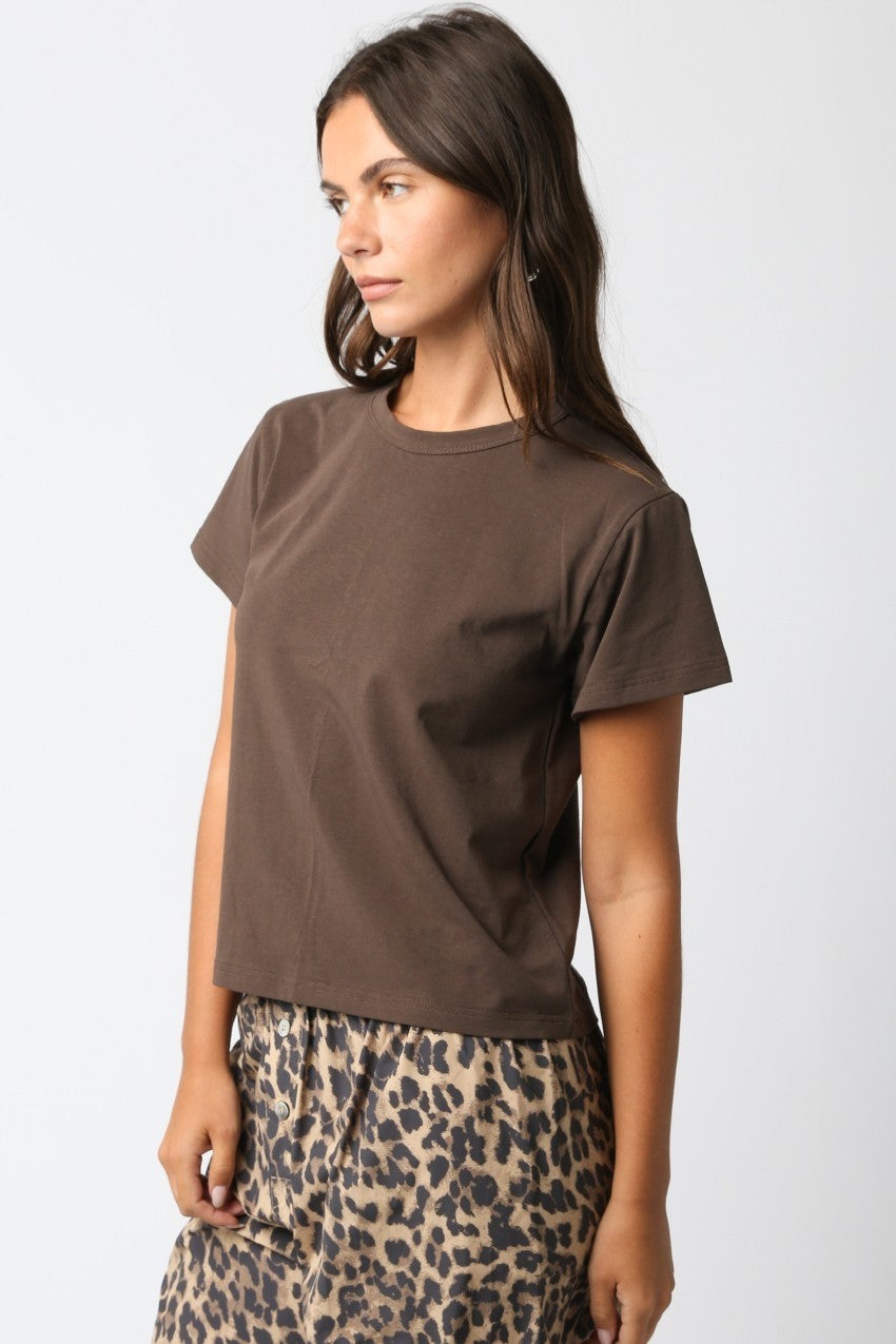 The Classic T Shirt in Brown